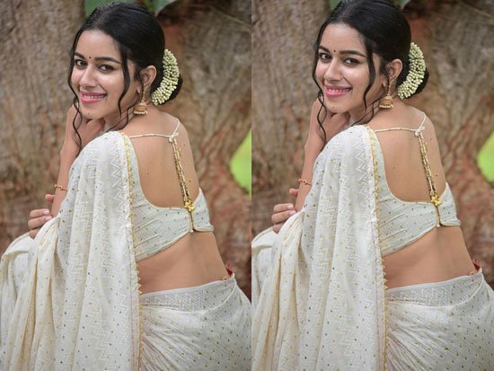 Mirnalini Ravi Networth